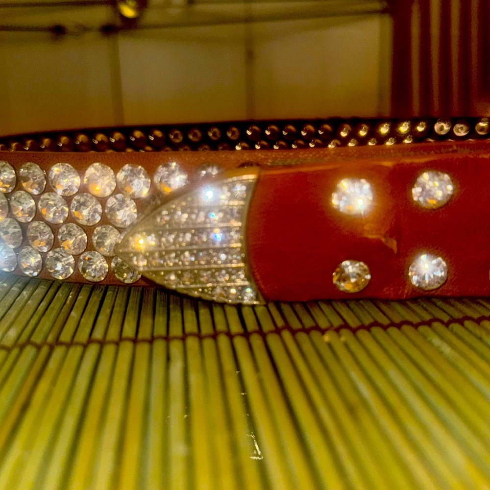Design Studio Rhinestone Embellished Tan Belt - Picture 4 of 8